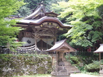 P1010005.JPG